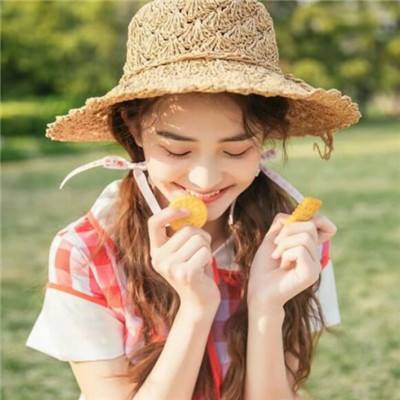 少女防御战汉化版下载